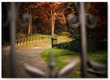 blick_in_den_pfalzgarten