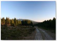 blickaufdiewurmbergschanze-aufkolonenweg